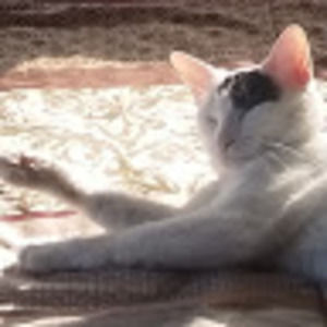 Meet your Posher, Angie